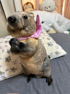 鹿児島天文館デリヘルLOVEVE～ラヴィーヴ～　きこ☆60分8千円無料OP満載☆