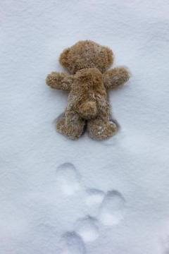 昼メイン??夕方チャンスあり??