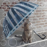 かりゆしOLの秘密　のりか★癒しといやらしさの大融合