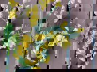 大人の遊園痴「スピーディー」 りつ（敏感で癒し系） 今日も宜しくお願いします