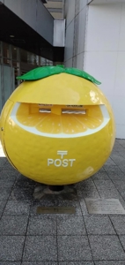 宮崎ちゃんこ都城店 なつこ 久々の宮崎