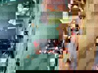 Liberty(リバティ)　みゆ