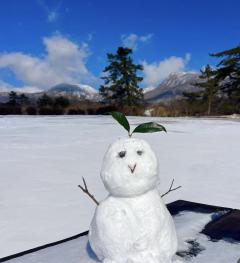 ドスケベ人妻　みらい♡ドスケベ熟女