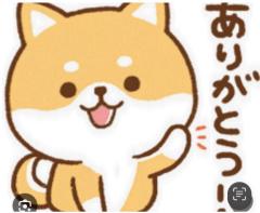 CLUB LUMINE　Haru【ハル】