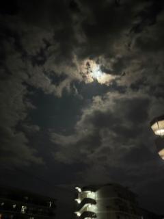 人妻宅急便　小夜(さよ)美熟女