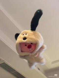 今日もよろしくお願いいたします(*´?`*)??