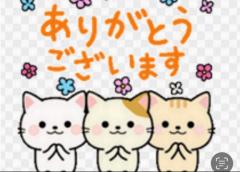 CLUB LUMINE　Haru【ハル】