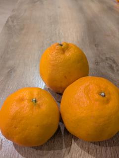 ご主人様いらっしゃい 大分店　つぐみ♡極上ｴﾛﾃｸﾆｯｸ♡美人ﾆｭｰﾊｰﾌ