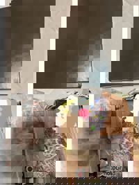 大人の遊園痴「スピーディー」　ゆう（美脚でスレンダー）