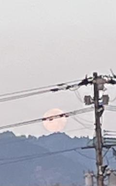 ご主人様いらっしゃい 大分店　神舌ゆい♡最強エロ女（痩せてきた）