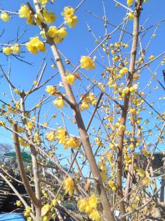 都城の人妻くらぶ(都城市) しの☆業界初