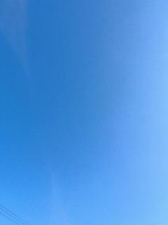 CLUB LUMINE　Haru【ハル】