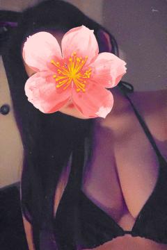 MICHELIN ミシュラン　