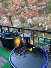 おはようございます(*^o^*)