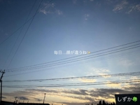 鹿児島ちゃんこ 霧島店　しずか