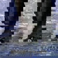 宮崎ちゃんこ中央通店　