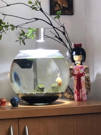 かりゆしOLの秘密　なこ★性欲万点お姉さん