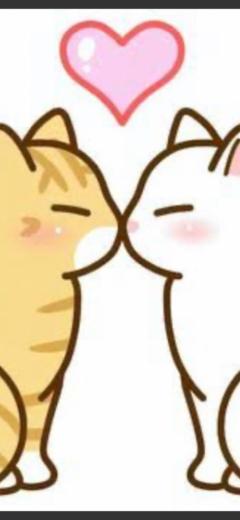 都城デリヘル ゲット24時間　はにゅう