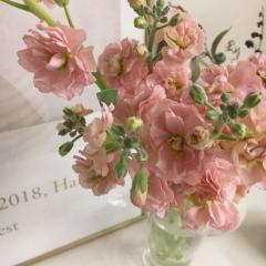 CLUB LUMINE　Kurumi【くるみ】