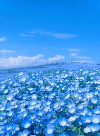 フェアリー【鹿児島店】　