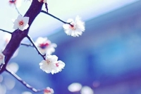 ティッシュの消費量