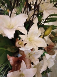 待ちナビ　さとみ