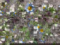 ありがとうございます