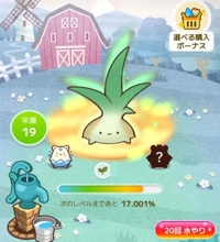 宮崎ちゃんこ都城店 こはる 無題