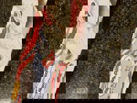 大人の遊園痴「スピーディー」 宮崎市デリヘル りつ（敏感で癒し系） 写メ日記「今日もよろしくね」