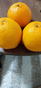 宮崎ちゃんこ都城店 都城市デリヘル なつこ 写メ日記「今日も一日有難うございました」