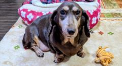 アルファ　♡くみ〜※特割コースの新エース♡