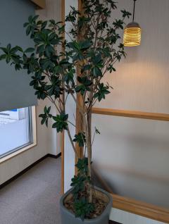 今夜もよろしくお願いします♡