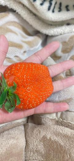 Buddy(大分市) えな☆おっとり癒し系☆