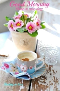 マドンナSANSAIN 宮崎市デリヘル あいり 写メ日記「出勤」