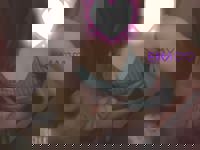 LOHAS(ロハス)　えま