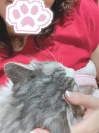 待ちナビ ゆうか 【お礼写メ日記】