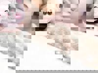 さあやです( ´ω)ﾉ