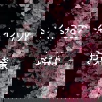 宮崎ちゃんこ中央通店 宮崎市デリヘル ぼたん 写メ日記「シャイン702のお兄様？」