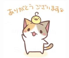 (??????)?????...*゜