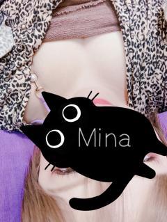 MICHELIN ミシュラン　ミナ(MINA)