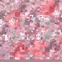 宮崎ちゃんこ中央通店 宮崎市デリヘル ぼたん 写メ日記「アネックスのさいとう様？」