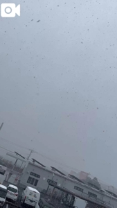 宮崎ちゃんこ都城店　こはる