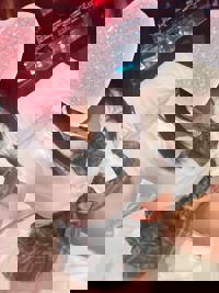 宮崎ちゃんこ中央通店　さくら