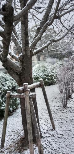 おかあさんといっしょ都城店 都城市デリヘル るみこ★最高エロリスト 写メ日記「梅もビックリ！雪」