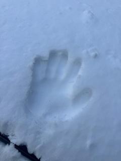 温泉行けるかなぁ？