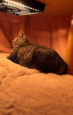  ゆめ☆火の国Gパイに夢イッパイ☆