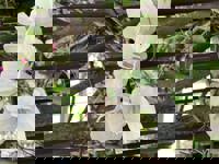 大人の遊園痴「スピーディー」　りつ（敏感で癒し系）