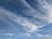 素敵な目覚めの朝