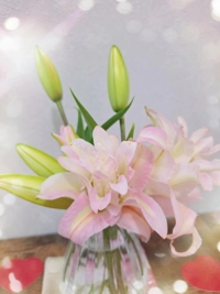 立てば芍薬座れば牡丹歩く姿は百合の花