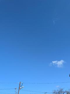 JaPON 新人！美鈴ﾐｽｽﾞ